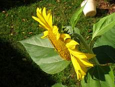 Maryland 0102.jpg
